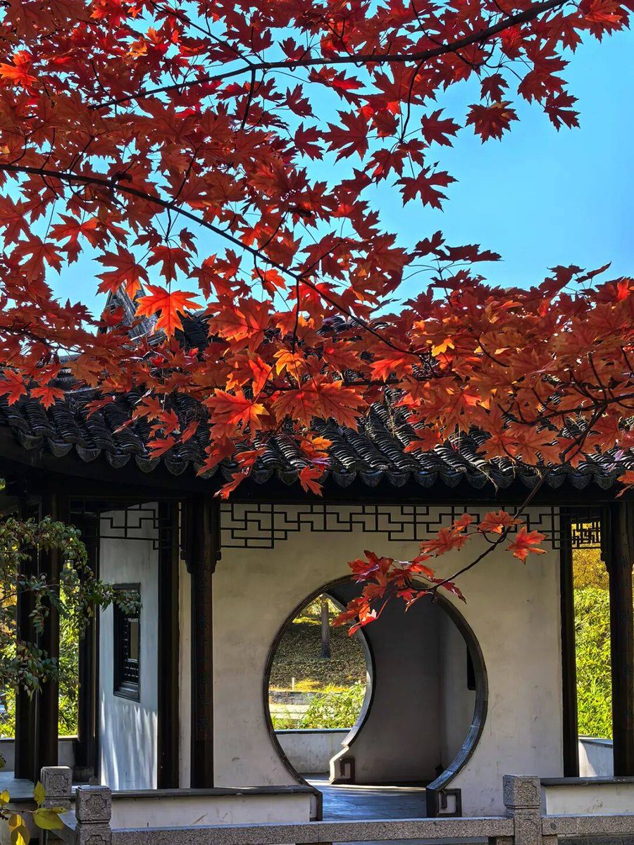 ShopPhilly's tweet photo. “Golden autumn breeze, crisp air, and the scent of maple leaves  Perfect weekend for a cozy walk! #FallVibes”， https://t.co/zF2LTgDQ6D