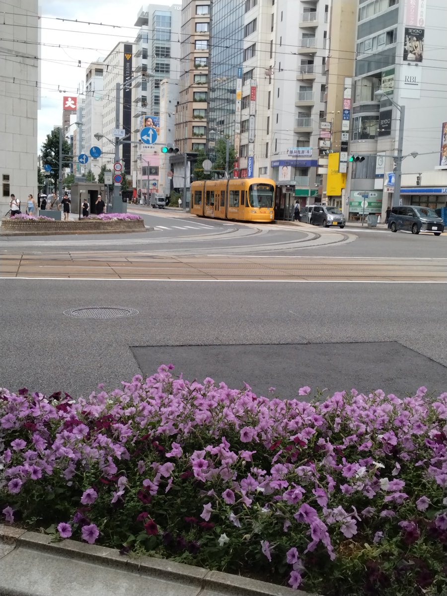 Fusoaero1's tweet photo. 八丁堀交差点で花壇と1005号組み合わ���てみました。 https://t.co/GO69Y4ZAM2