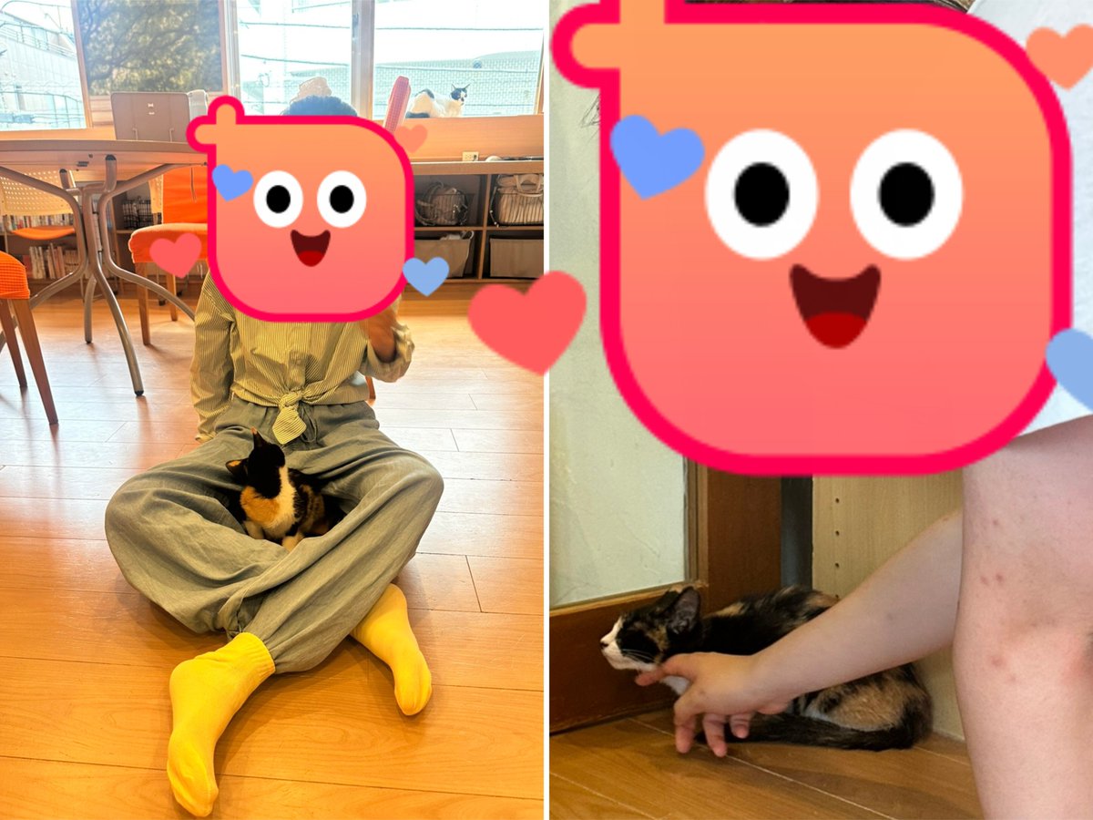 VERITAS_TOKYO's tweet photo. 女子部の活動で、多摩センターの猫カフェ「たまねこ」さんに遊びに行きました✨

https://t.co/xh6C3jr4H1

猫ちゃんをなでたり、話しかけたり、みんな積極的に猫ちゃんとの触れ合いを楽しんで、あっという間の2時間でした😊

帰りは「癒されたー♪」と満足した様子だったので良かったです♪ https://t.co/vzDQ4ZUeoi