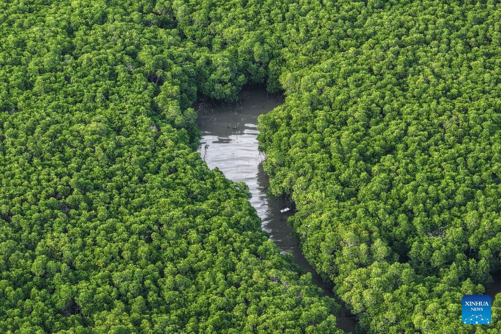 China_Amb_India's tweet photo. China's Ecological and Environmental Code officially came into force, marking a major step forward in green modernization and a stronger legal foundation for the harmonious coexistence of humanity and nature. 🌱⚖️
#EcologicalandEnvironmentalCode #ChinaEnvironment #GreenTransition #GreenDevelopment