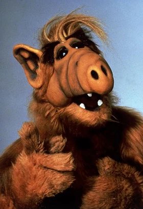 clajlfc's tweet photo. @ZackPolanski Fuck off Alf you scumbag. Bloke lied about stuff to get his job if it was a white person he get the same treatment. I forgot you don’t like truth just lies that your party summed up https://t.co/nZeARtFR8W