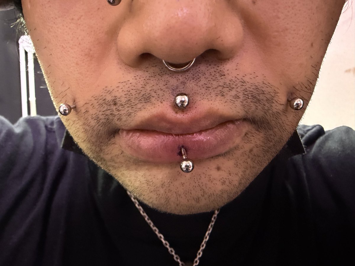 96Olver_pf's tweet photo. 上から
ビンディー
ナサラング
メデューサ
アシュリー
人中のみを攻めたOMニキ

#ピアス
#piercing
#ピアススタジオ
#ビンディー
#ナサラング
#メデューサ
#アシュリー https://t.co/EUHNZezGyk