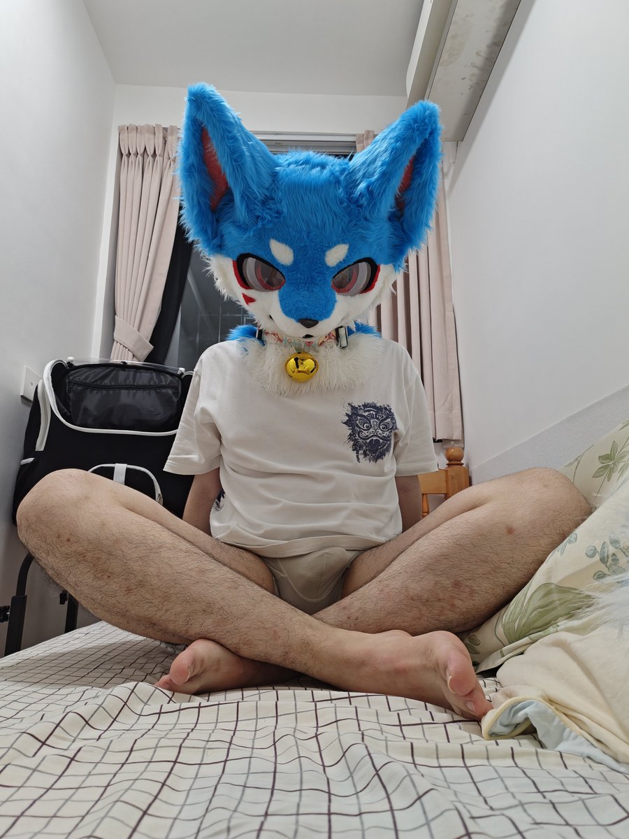 KAWAHISA_'s tweet photo. 哈喽这里是川久的x~（这里应该会发点擦吧）
#furry #兽装 https://t.co/jFYeZ0Znky