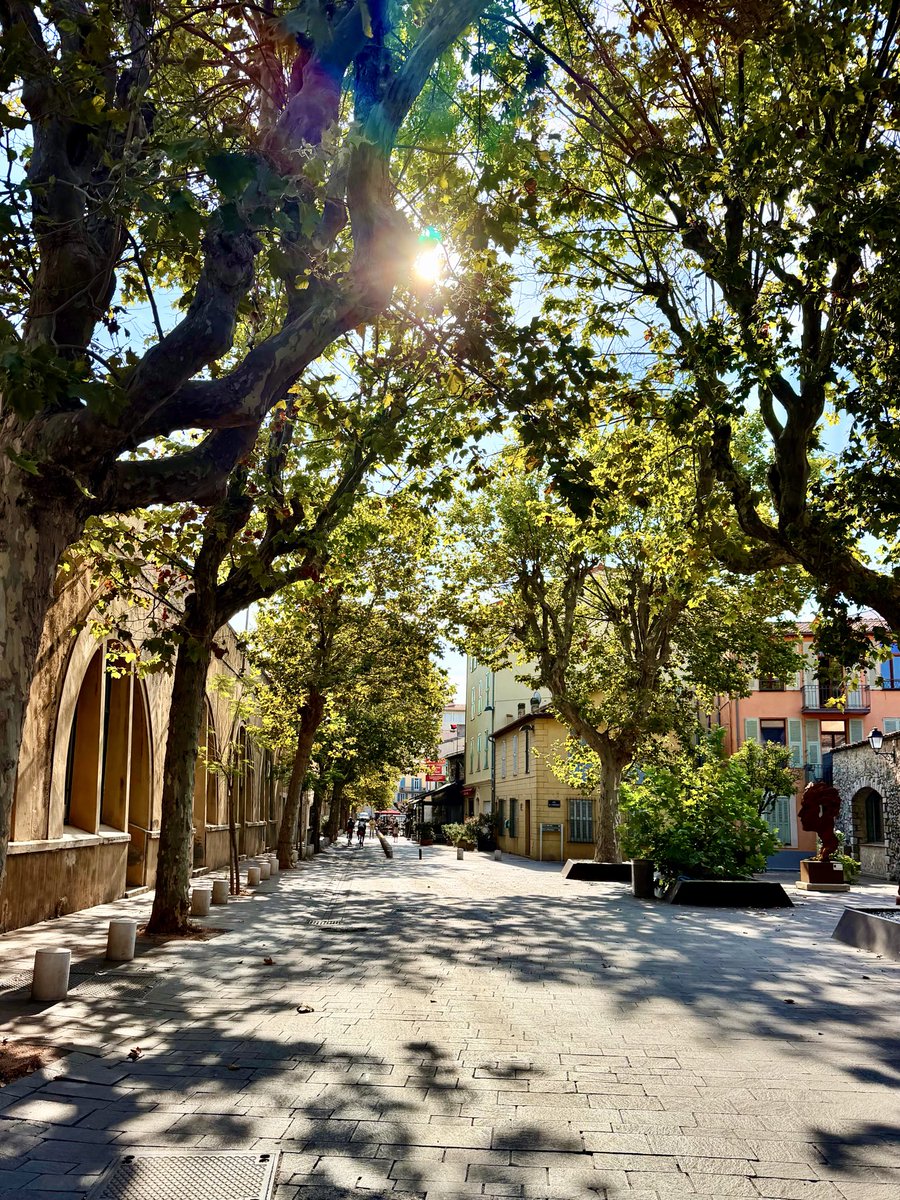 BrigitteB55's tweet photo. 🌳 Balade matinale à l’ombre des platanes 🍃 #Antibes 💚
Bon dimanche à tous ☀️🫶🏻🍀 https://t.co/QMZMNCBU38