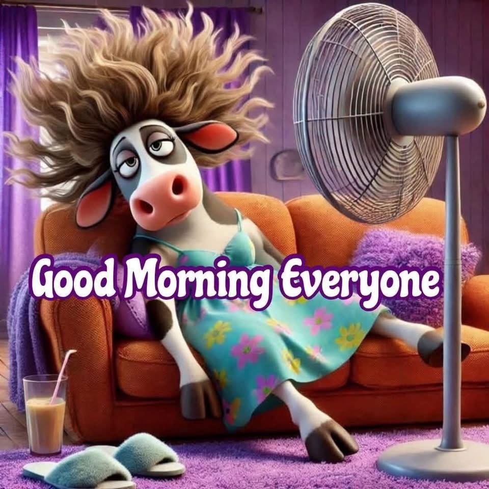 sheepio tweet picture