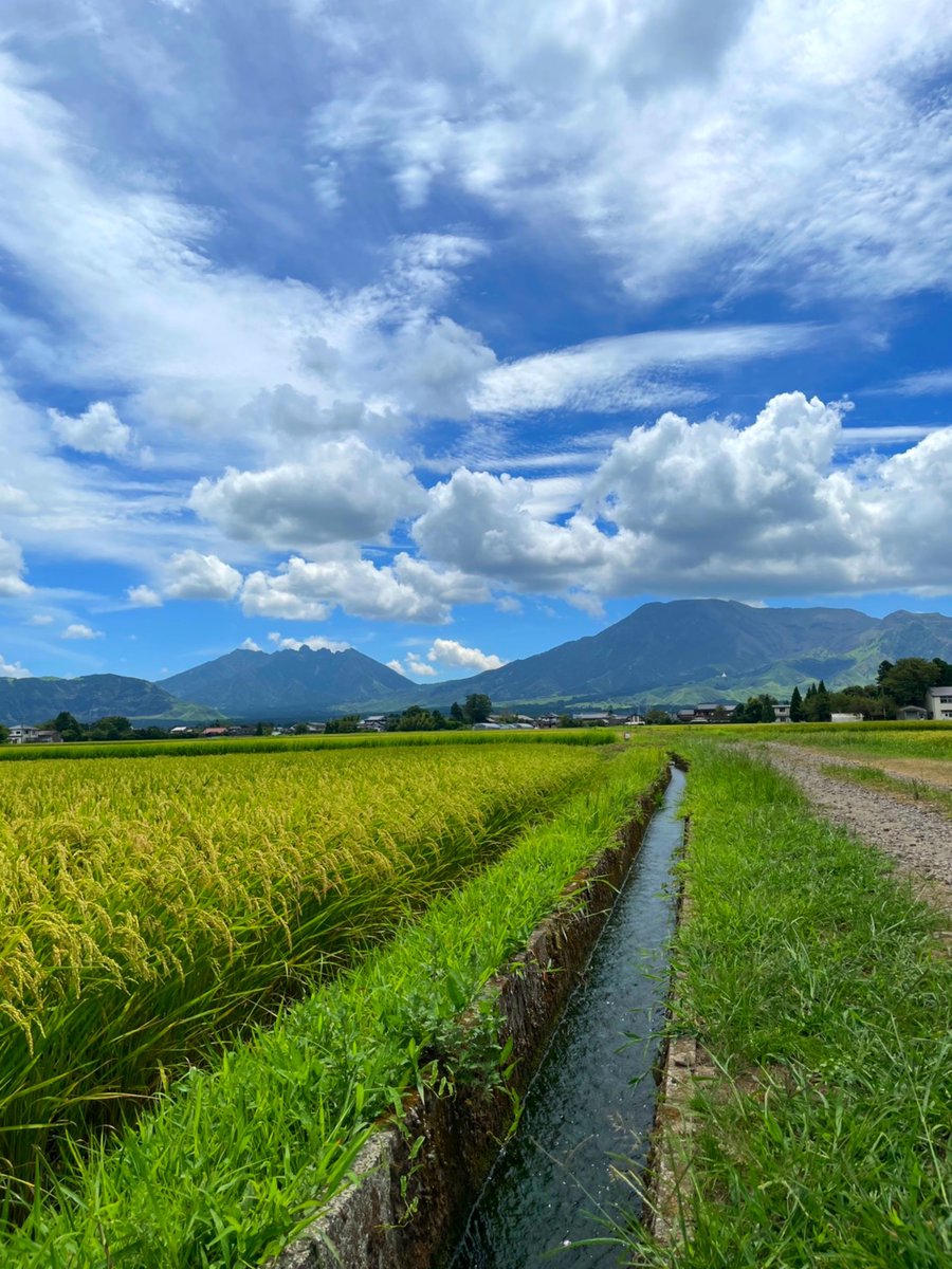 theiram's tweet photo. 高千穂、阿蘇に行ってきました〜
ほとんど地震の被害がない地域だけど、キャンセル続きで書き入れ時だけどお客さんが少ないそうです
行ける人は是非〜！ https://t.co/Tz0DvWVdiY