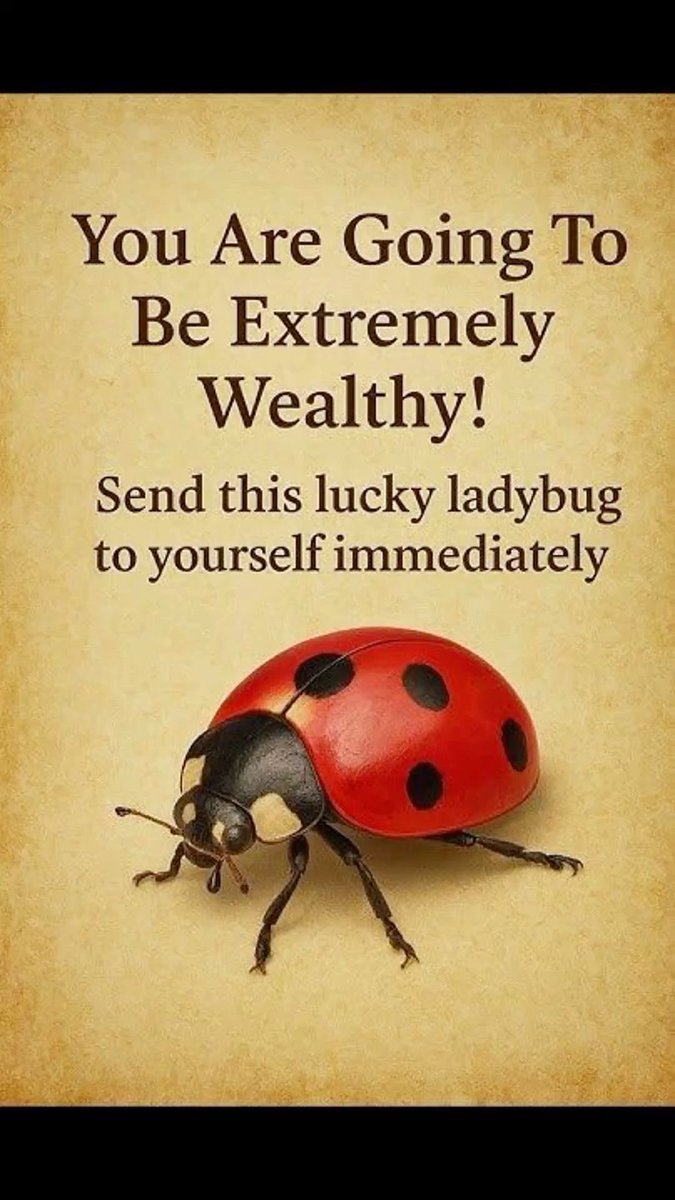 manifestpower4X's tweet photo. 🍀🐞 https://t.co/eoSv6fLdar