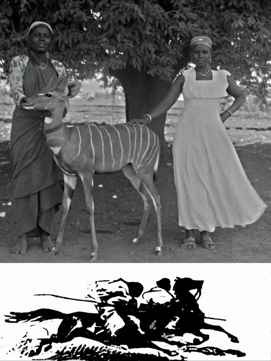 Joe__Bassey's tweet photo. Images from Somalia 🇸🇴 around 1950. https://t.co/oRqmFhW8m8