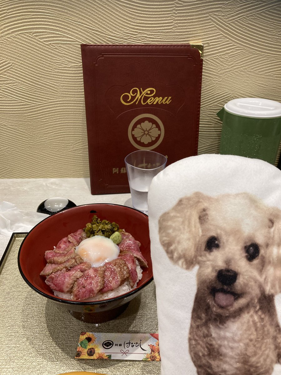 puriyango's tweet photo. お盆休みに九州旅行に行って来たでちよ〜🚄
熊本地震の影響で熊本城は閉鎖して��でち😢
熊本城界隈を訪れてご迷惑にならないかパパが熊本観光課に問い合わせて、来て頂ければ支援になりますって返事頂き行きましたよ🏯
滞在5時間程度で宿泊地の博多に戻りまちたよ🐶

ぷりん🐶🍮
#しっぽ会 https://t.co/5t4Pf6c0te