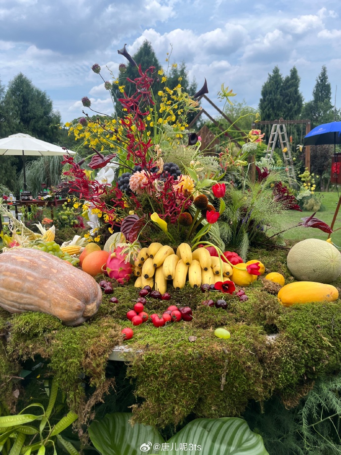 GabudaoKath's tweet photo. Celebrating the first harvest of autumn  Let gratitude fill your plate and your heart today. https://t.co/MPfTVVqIOX