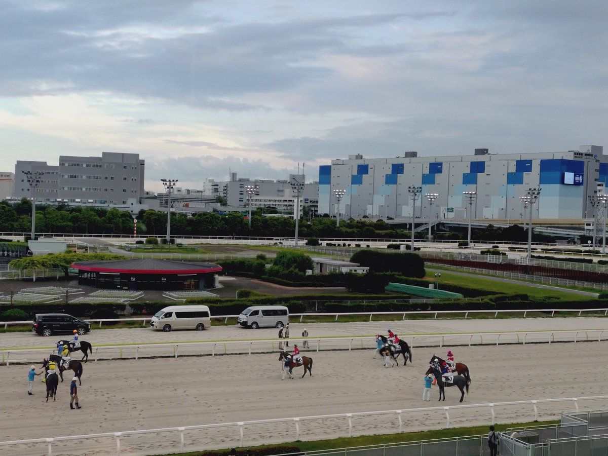 _bt_xxx's tweet photo. 昨日今日と夫氏のお友達が泊まりにくる。そして恒例のお馬さん見学会(競馬)。今回はたくさん勝ったけど金額的に負けた結果に。くそぅ。 https://t.co/8RiQfgAgWU