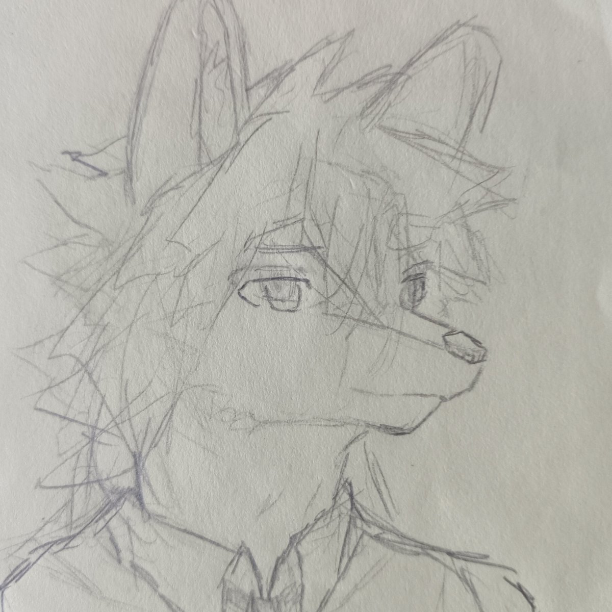 FurryNimoth's tweet photo. 絶滅イヌ科oc😡😡😡，狐とオオカミはどちらもイヌ科だと知っているのですが、二つの描き分け方を教えてくれる人はいますか？
#OCㅤㅤ #furryartㅤㅤㅤ #furrydraw #furrycommission https://t.co/YLkI71ctIG