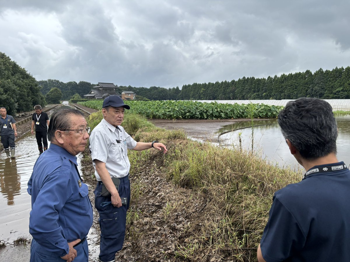 TsunodaHideo's tweet photo. この度の千葉県での豪雨により被害に遭われた皆様に心よりお見舞い申し上げます。連日、千葉県内各地を訪問する中、本日は北村八街市長、公明党市議団と共に農業被害、道路陥没現場にて状況と要望を伺いました。千葉市内では床上被害のお宅にてお話を伺いました。早期復旧のため全力で取り組みます。 https://t.co/M2WzkPfuo4