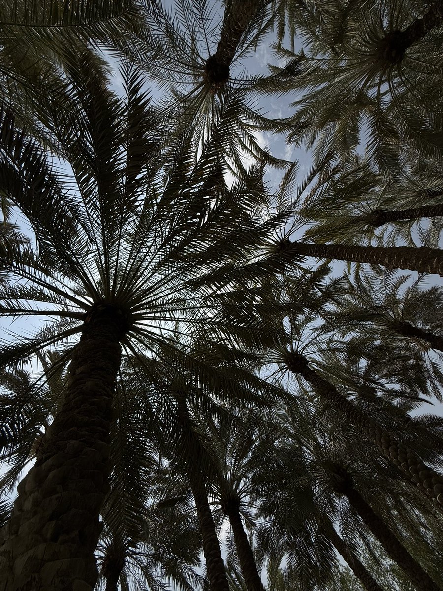 solarspacesoul's tweet photo. Random shit you will find me do, grounding بالقايلة https://t.co/zQDvzzjOaK