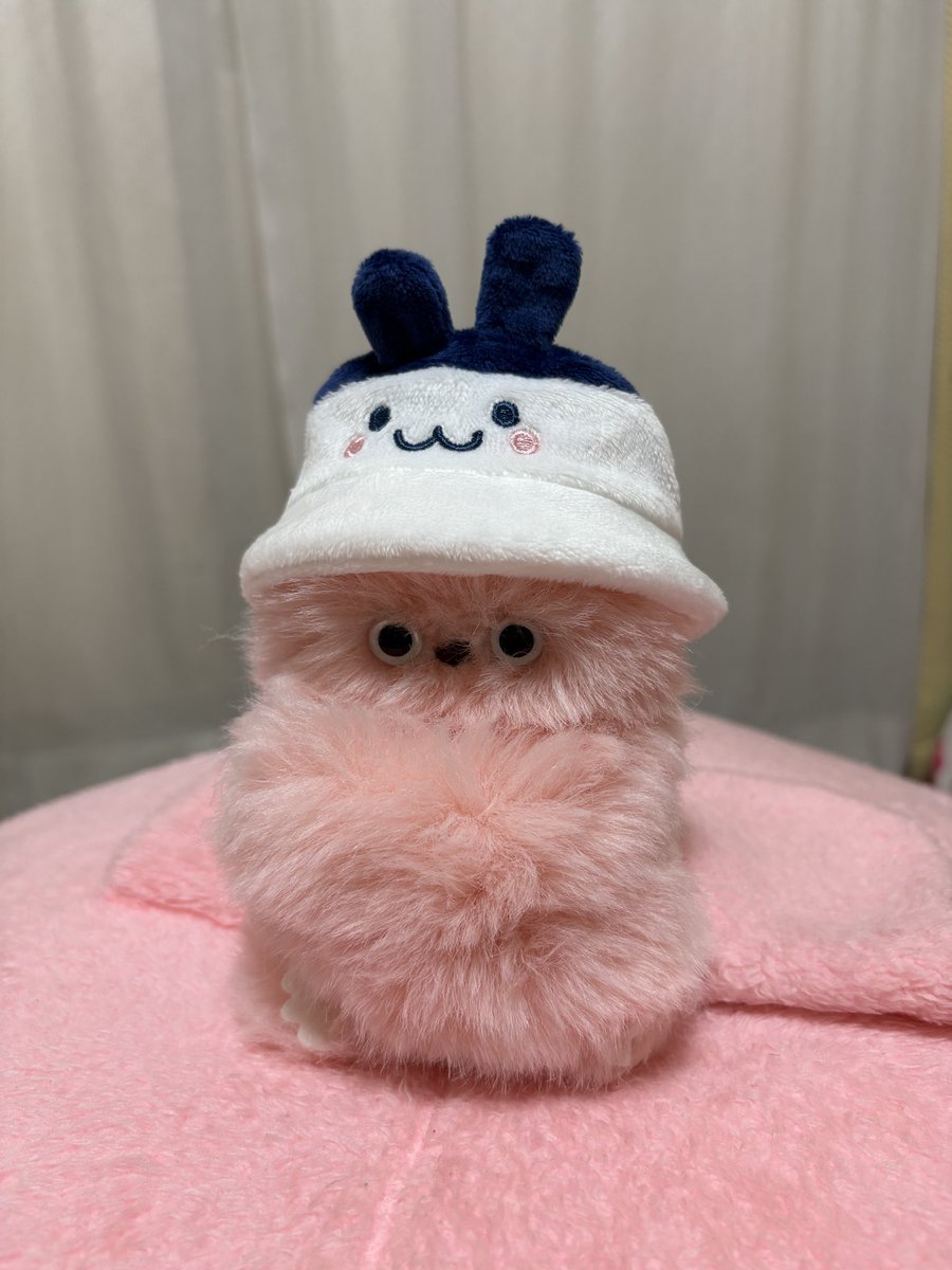 2574goro's tweet photo. #mirumi
#LOVOT
新しい家族です。
ちいちゃんです！ヨロシクね https://t.co/MBHqaTs7sV