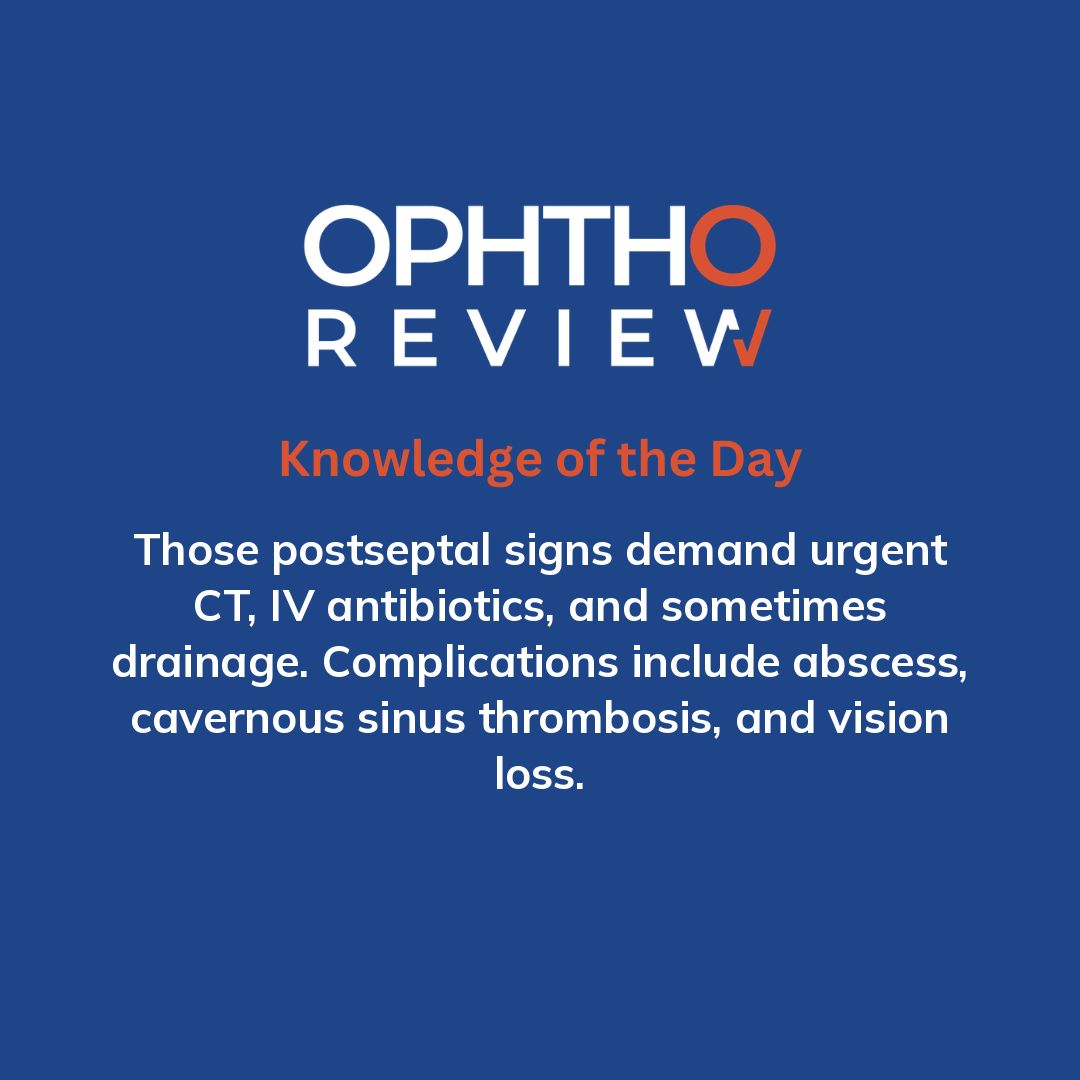 ophthoreview's tweet photo. Simple lid infection

#ophthoreview #ophthalmology #ophtho #ophthalmologyresidency #ophthalmologist #surgicaleducation #medicaleducation #meded #surgery #medicalstudent #medicine #medicalschool #resident #residency https://t.co/G5UnwwOUta