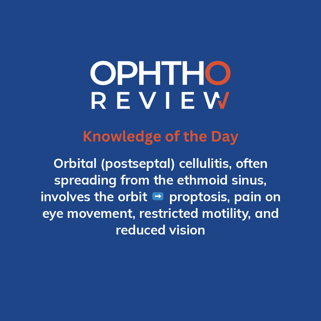 ophthoreview's tweet photo. Simple lid infection

#ophthoreview #ophthalmology #ophtho #ophthalmologyresidency #ophthalmologist #surgicaleducation #medicaleducation #meded #surgery #medicalstudent #medicine #medicalschool #resident #residency https://t.co/G5UnwwOUta