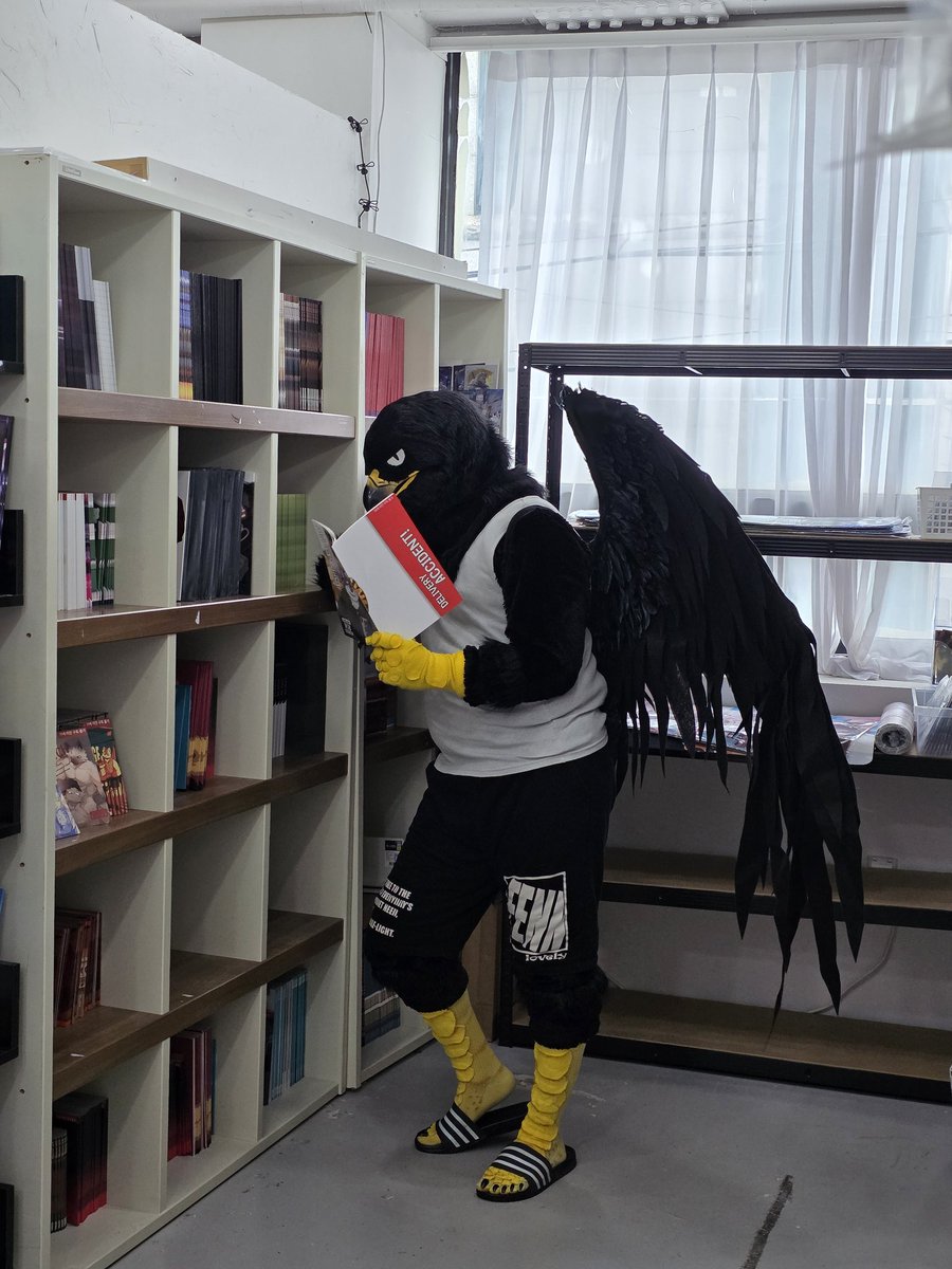 bpenguins_'s tweet photo. 퍼클 매장을 구경을 함!!(이곳은... 천국?? https://t.co/m4teQ90zSY