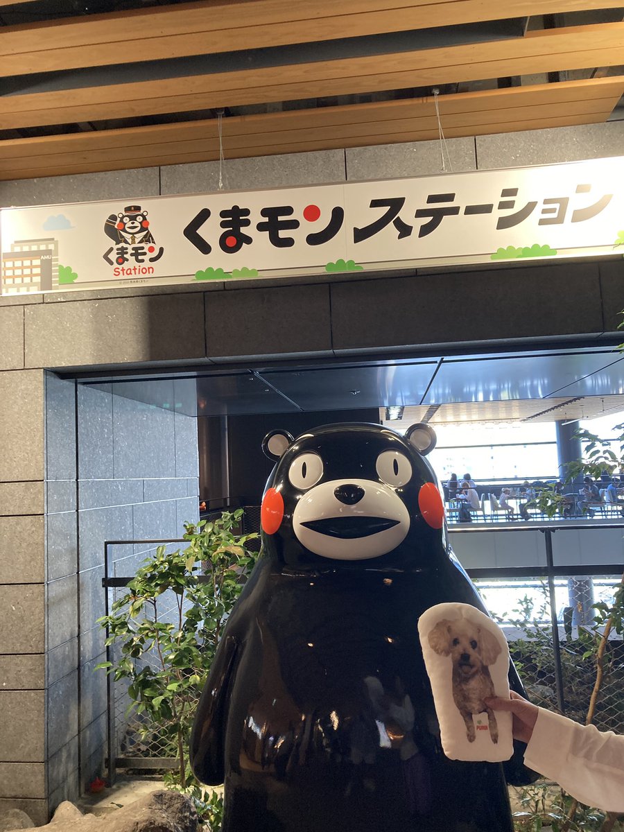 puriyango's tweet photo. くまモン頑張って🐻

ぷりん🐶🍮

#55_kumamon 
#しっぽ会
#秘密結社老犬倶楽部天国支部 https://t.co/32z5MHITKu