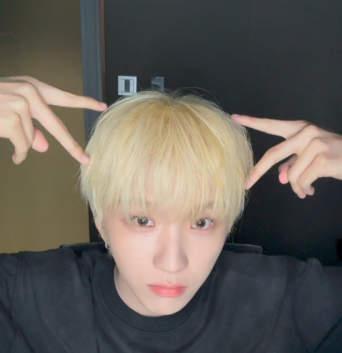 daenghakie's tweet photo. puppykittybearhak https://t.co/1RlqY1jvwN