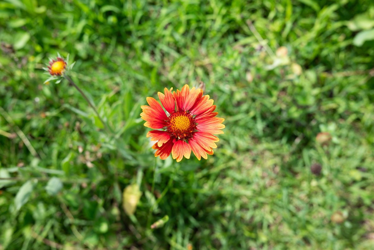 G2SPHOTOPROJECT's tweet photo. common 
＊Nikon Z5

#photography #g2sphotoproject #g2scommon #山形 #仙台 https://t.co/gvgaLU6m4G