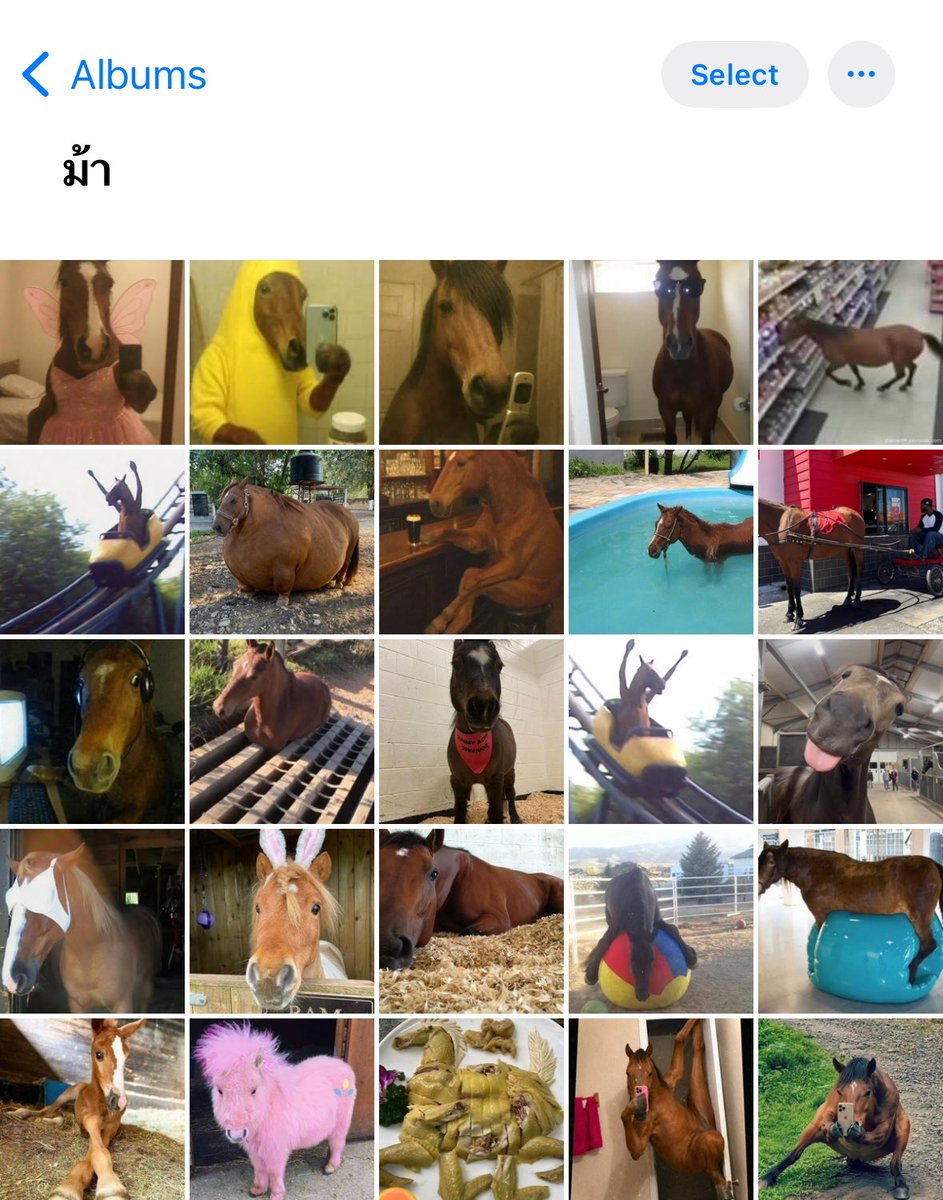 phxpxrd's tweet photo. ทั้งใจยังไงก็ม้า #.เมะเล่นม้า #.ผู้ชายปีม้า #.เปิดการมองเห็น https://t.co/f8o9a9qGo2