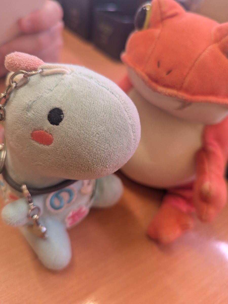 ash_22067's tweet photo. ごはん。 https://t.co/8ZzI2U7yeh