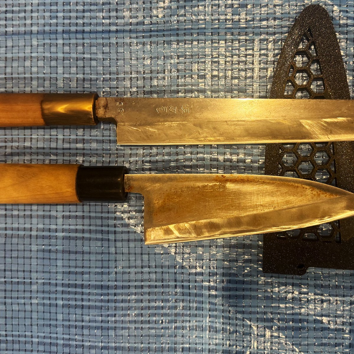 TePay1160's tweet photo. はじまります。飛び入り参加大歓迎。
#吉池の魚を捌いてやんやする
#学術バーQ https://t.co/mU0xAqp7Sh