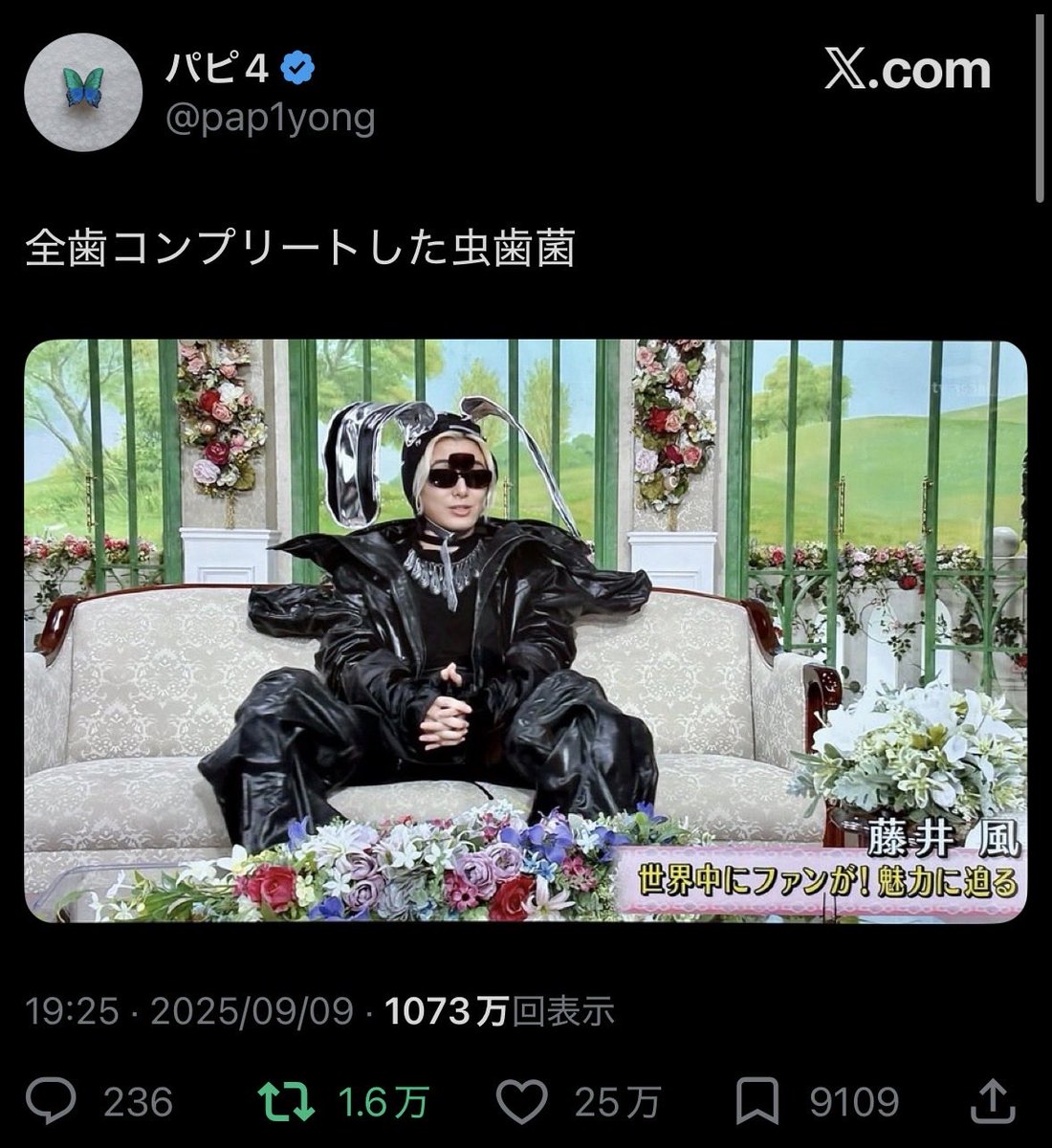 fan_kaze's tweet photo. 即座にこの画像思い出したけど、まさかの同じ人で膝から崩れ落ちた https://t.co/DiQ16cYncC