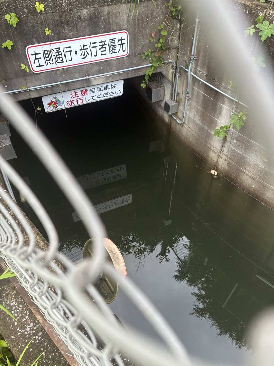 shibasukai's tweet photo. 真砂から検見川方面に抜けるサイクリングコース🚵‍♀️、冠水の影響で通行止め❌
お気をつけください。

当分、水は引かないなぁ😭 https://t.co/h74MoNhOyB