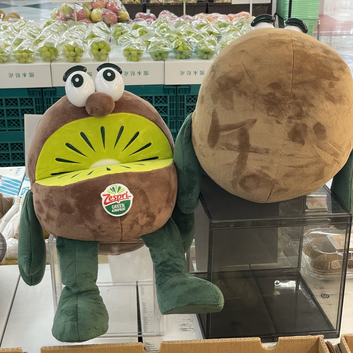 syucca_'s tweet photo. ほんもの🥝と比較してくれる母が登場 https://t.co/zMeIFDmDzy
