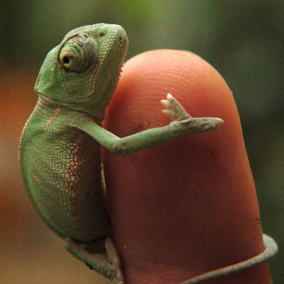 thinkscute tweet picture