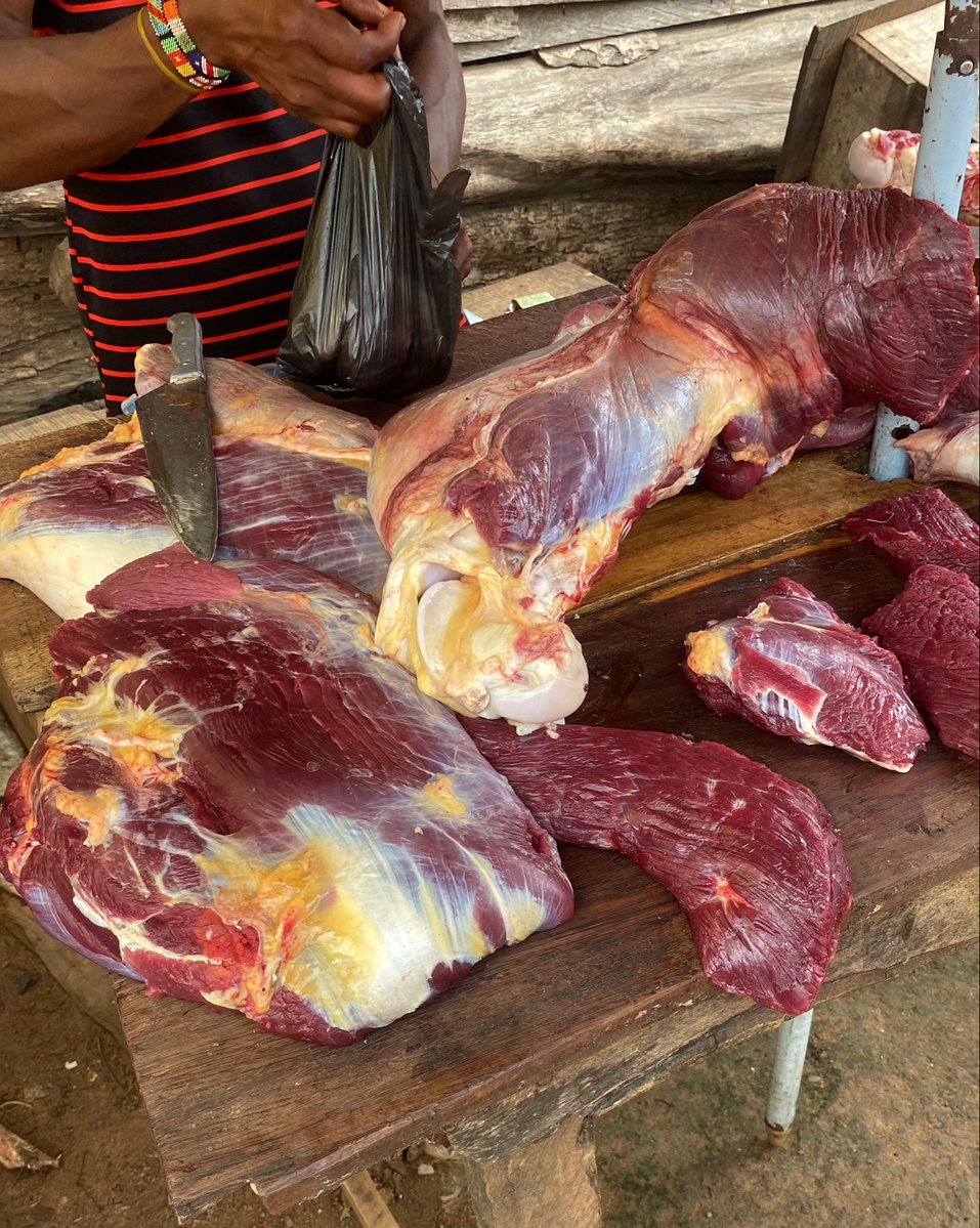 talk2fuzi56's tweet photo. Meat of 5k is not up to 12 pieces 😔😔
Tinubu need to go 💔 https://t.co/ZdQjOyaa54