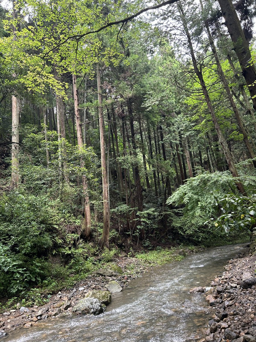 alcoholcamp's tweet photo. 日帰りBBQ
場所はあきる野の某サウナ付きキャンプ場

お盆時期だからなのか
陽キャ大学生の聖地なのか

フェードカットラッシュガード無しの上裸筋肉男子と
金髪ビキニタトゥー女子多数

海では良く見るが山奥では珍しい人種に囲まれて楽しかったですよ。はい
スタッフの接客と景色は良かった( ´∀｀) https://t.co/z8jTR1awXv