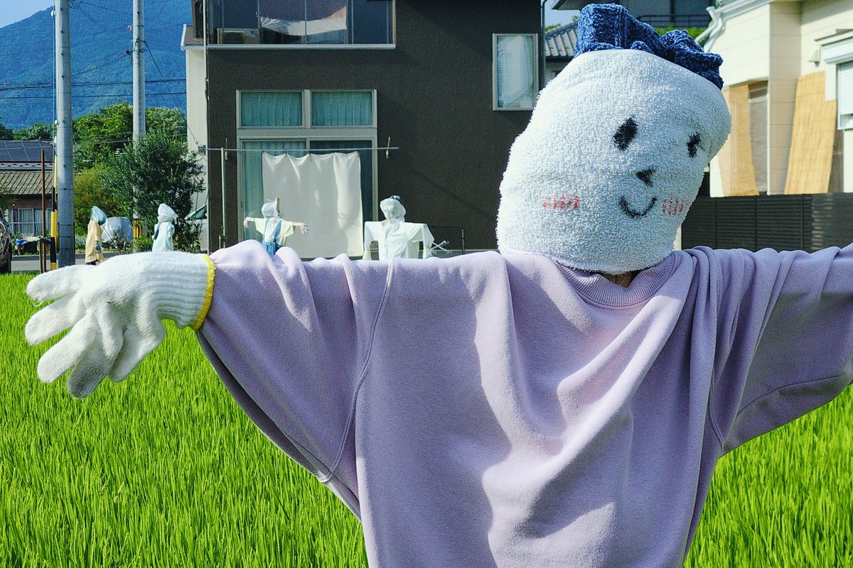 kura_mod's tweet photo. ふと通りかかるとぎょっとする風景 https://t.co/pVQvNCifZI