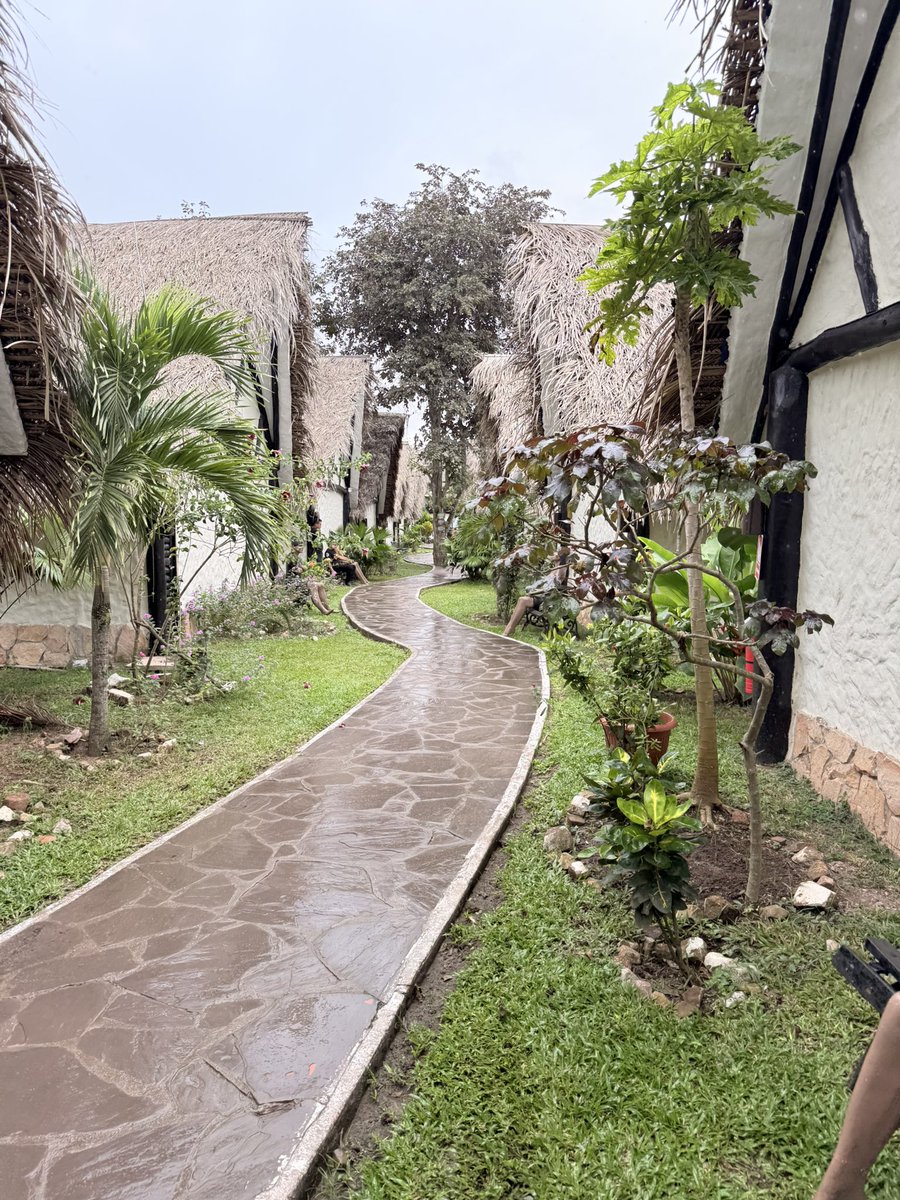 AdriRod25's tweet photo. Buenos días Tarapoto https://t.co/7N1PkHHA6j