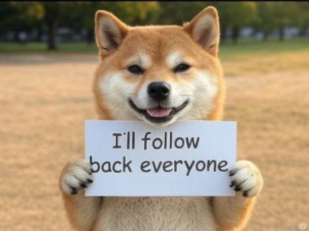 JoshptD8's tweet photo. GM 

Up and active for follow for follow 

I follow back Asap https://t.co/yOwdAj0ht5