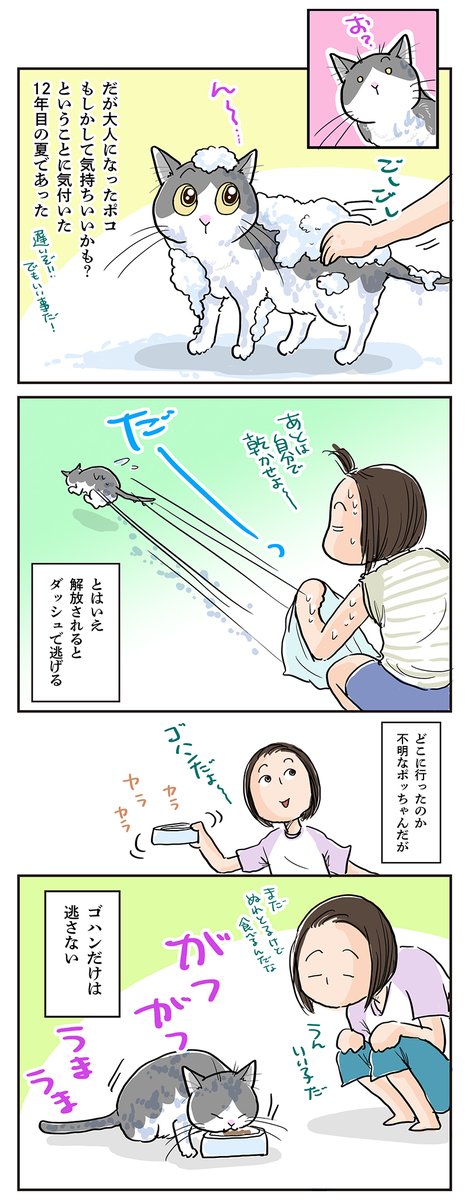 mirumirupakupa1 tweet picture