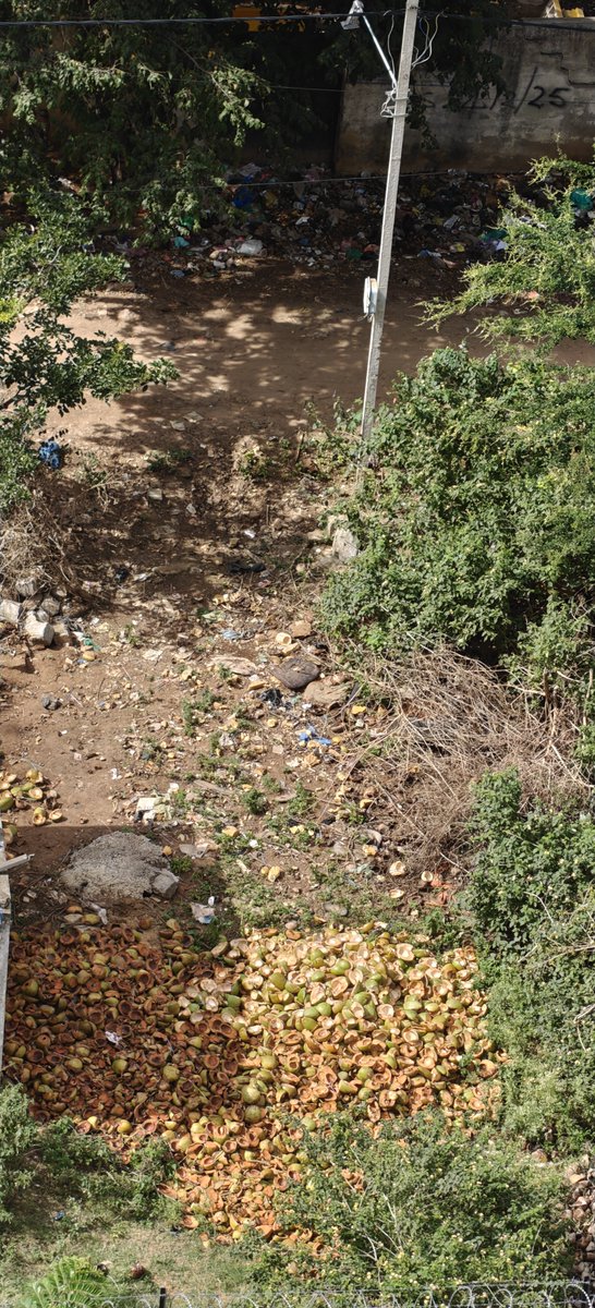 spsahoo_83's tweet photo. @krishnabgowda Dear @krishnabgowda Sir, this site is behind the illegal dog breeding centre opposite Rachenahalli Lake Park, Gate No. 1. Kindly look into it. https://t.co/XOQgPuIp0b