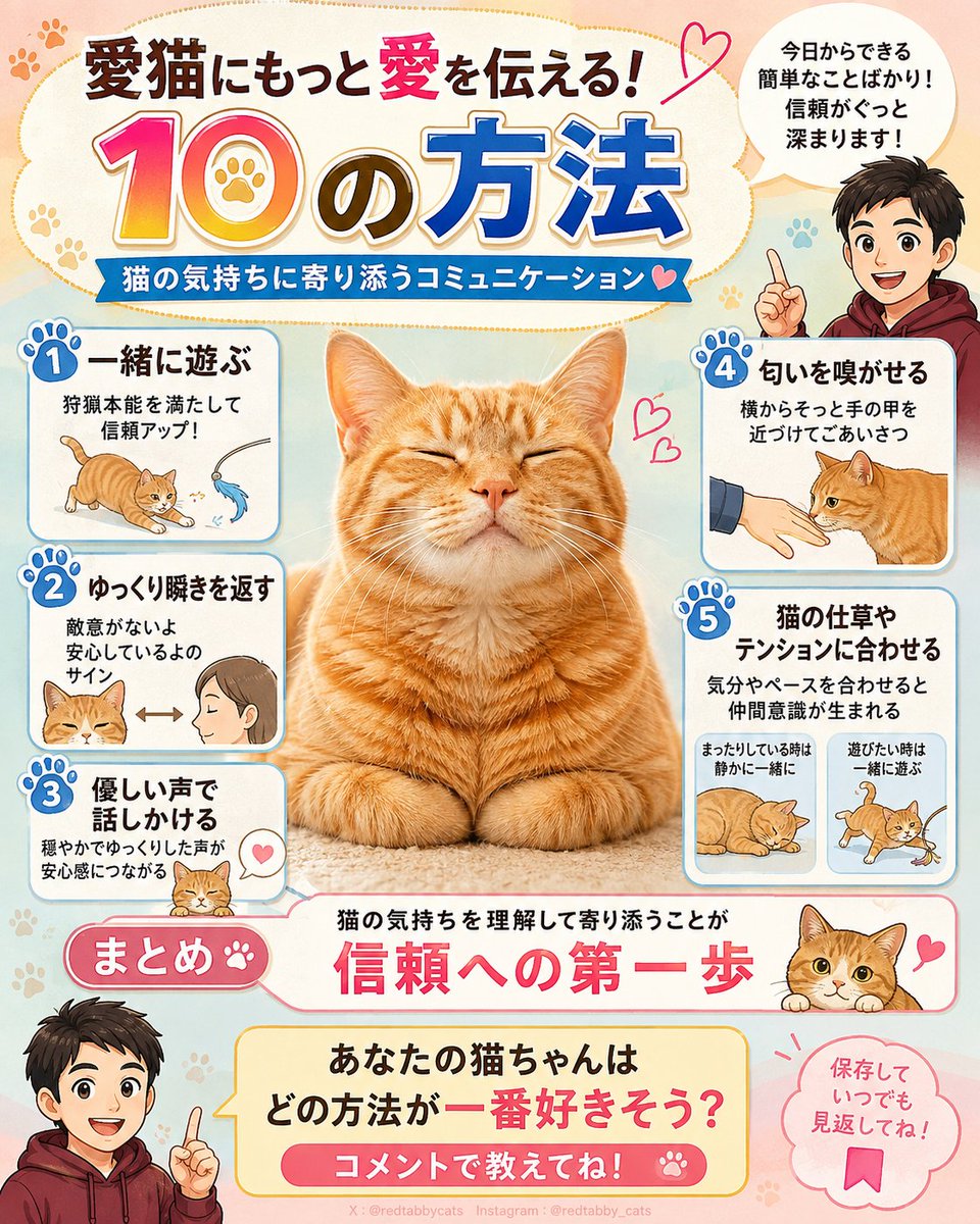 redtabbycats's tweet photo. 猫に愛を伝えたい人ほど、つい触りたくなりますよね😹
でも猫からすると、何もせず隣にいるだけの時間もかなり大事なのかも。
うちの猫も、撫でてほしい時は自分から来るくせに、こちらから行くとスッと逃げます |彡ｻｯ
猫って本当に自由です。 https://t.co/0GZYvvJzyL