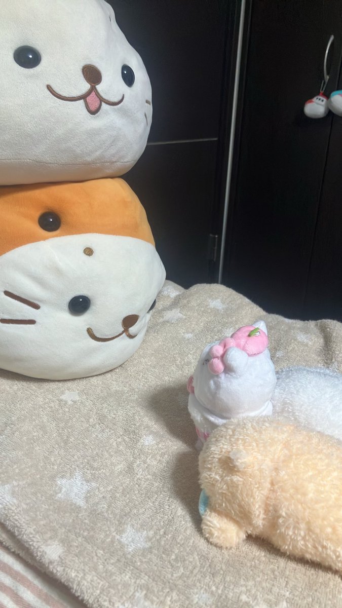 usaneco's tweet photo. 新入りしろたんは、桃を乗せたしろたんなので、白桃ちゃんといいます。
只今、面談中です。
「ちゃんと先輩の言うことに、おうとうするんだぞ‼︎」
「白桃だから、応答しませんよ、新入りは…」 https://t.co/R7FWxjtajc
