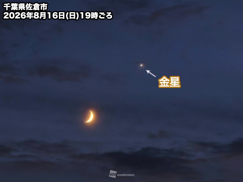 wni_jp's tweet photo. 【細い月と金星が接近】
今日8月16日(日)は、日の入り後の西南西の空で細い月が金星に接近。幻想的な細い月と、宵の明星として輝く非常に明るい金星の共演が楽しめました。
https://t.co/0BqkEEqQg8 https://t.co/oDlRgyy9eQ