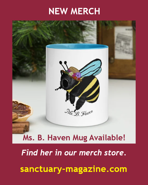 Sanctuary2016's tweet photo. MERCH STORE: Find a variety of products in our online store, including tees, mugs, tote bags, mouse pads, and more. https://t.co/xDPDnkJVDl
#WheresYourSanctuary #merchandise #sanctuarymerchandise #merchsale #art #community #wellness #sale #sweatshirts #beanies https://t.co/rVJZInxH1s