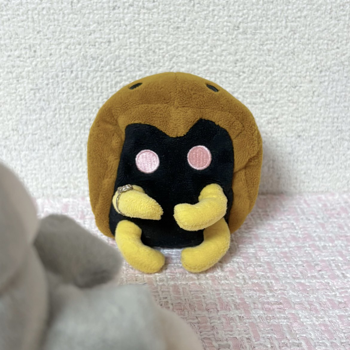 __VirginBirth's tweet photo. 引用元のカブちゃんとヨルちゃんみたいなぬいちゃんの目線の移動（画像加工）方法って需要ありますかね??(*' ')??

⇣⇣ 加工前 ⇣⇣ https://t.co/mCeNOn7oGO