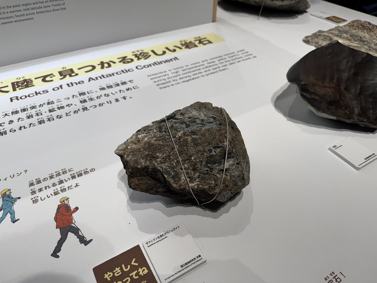 yylab's tweet photo. 科学未来館の大南極展

子どもでも楽しめる内容で家族連れも多いのだけど

岩石や隕石の実物が山ほどあって、触れたり、アイスコアの掘削の解説や、貴重な実物が見れたりと
様々な分野の専門的な展示が多く、じっくり腰を据えて見たくなるものばかり　↓続く

#大南極展 https://t.co/igJn6f8DKi