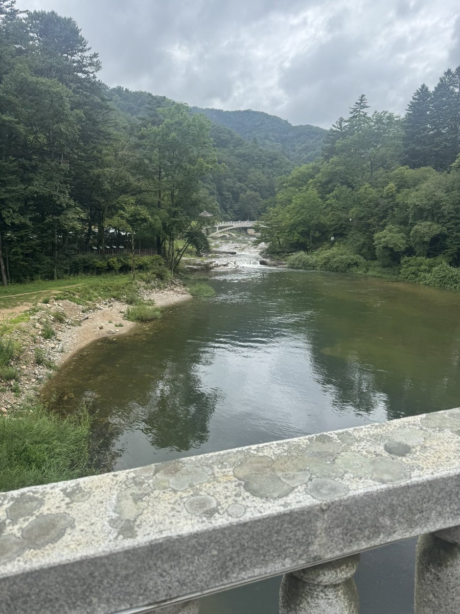 fdregucc's tweet photo. 건강해진다 https://t.co/nvXMxuNZ6b