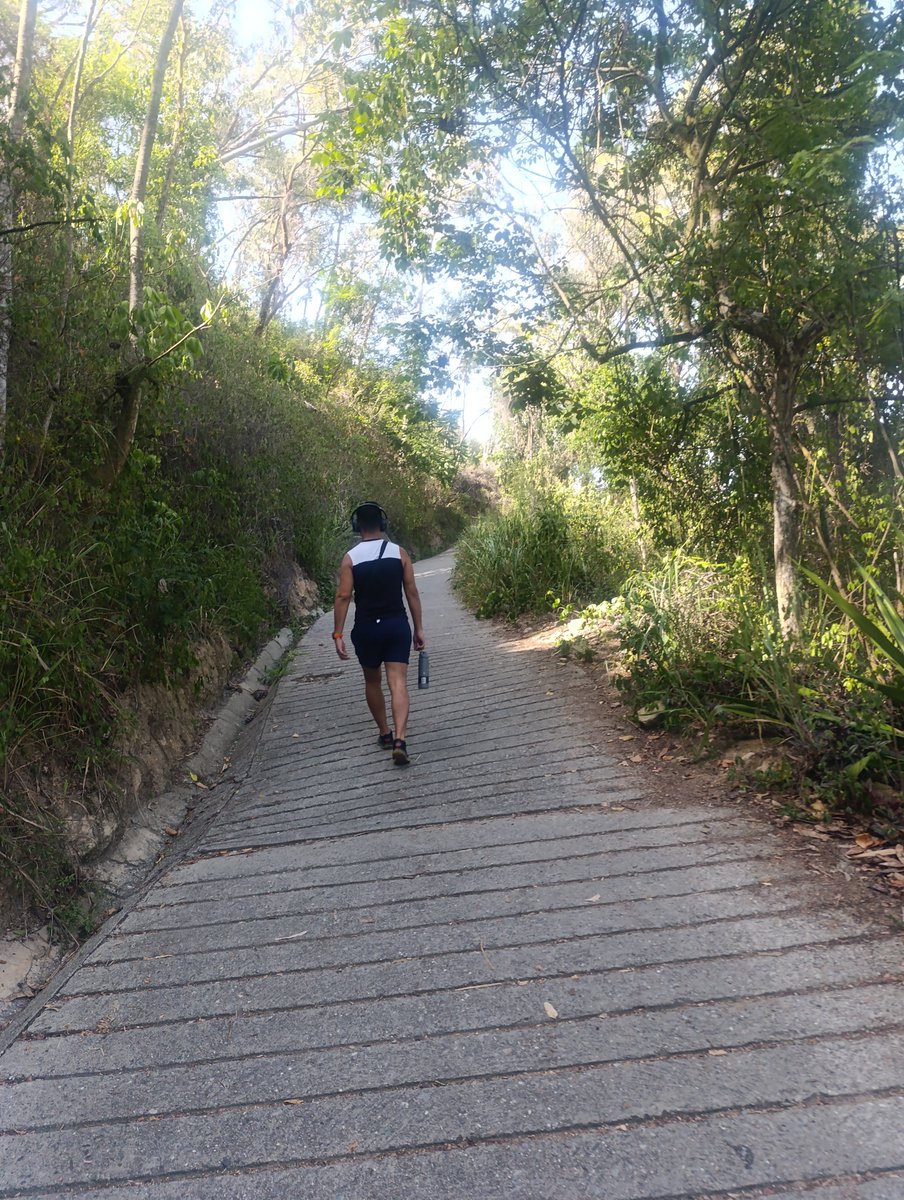 hecmanueljuvill's tweet photo. Nada mejor que un sábado en el Ávila: respirar aire puro, conectar con la naturaleza y, por supuesto, ¡sobrevivir en el intento! 🏔️✨💪
​#ElAvila #Senderismo #Caracas #Naturaleza #FelizSabado #AvilaNationalPark #RutaDeMontaña https://t.co/2hiH1tks7D