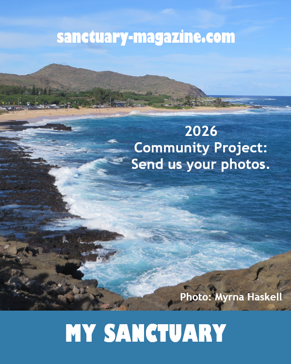 Sanctuary2016's tweet photo. 2026 COMMUNITY PROJECT: My Sanctuary
Send us a photo that depicts a space where you find sanctuary. Photo can include you…or not.
Find instructions for submission:
https://t.co/AreTal5r2G #WheresYourSanctuary #empoweringwomen #inspiration #photos  #sanctuaryphotos #yoursanctuary https://t.co/RKtJSC2fPj