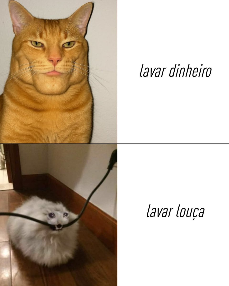 shitpostverdade's tweet photo. https://t.co/RNmcYLLBHj