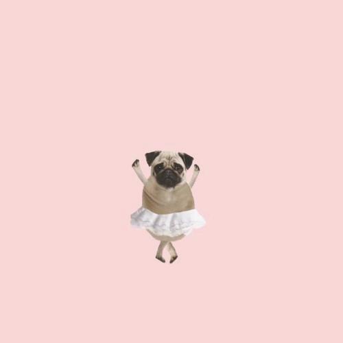 GreyJane82641's tweet photo. 🌻 🧳 🍂 🎌 💎 💎 Beer buddies https://t.co/s5snxrfv8G